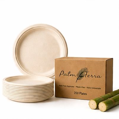 Palm and Terra 10 inch compostable plates with box
